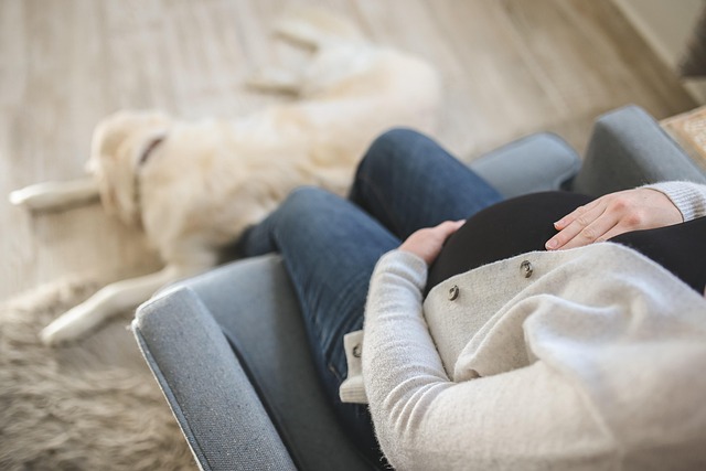 Gravid og arbejdende: Tips til at balancere job og kommende moderskab